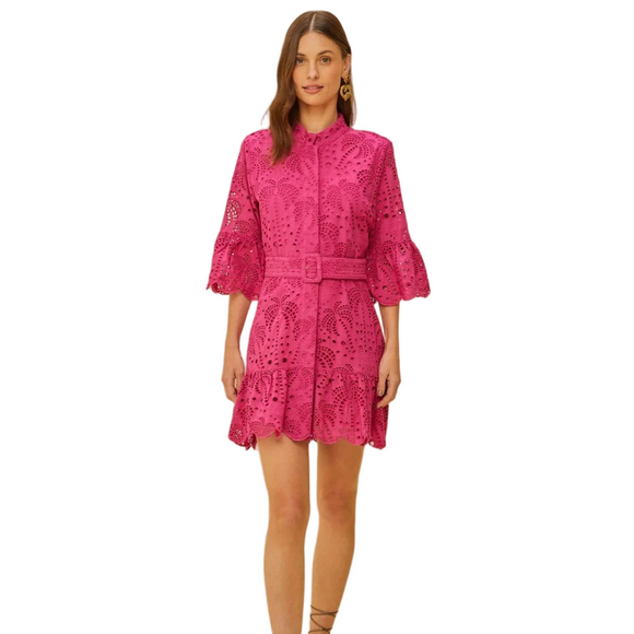 NWT FARM RIO PINK PALM TREE Print Fuchsia Eyelet Ruffle Lace Boho Mini Dress - Picture 2 of 11